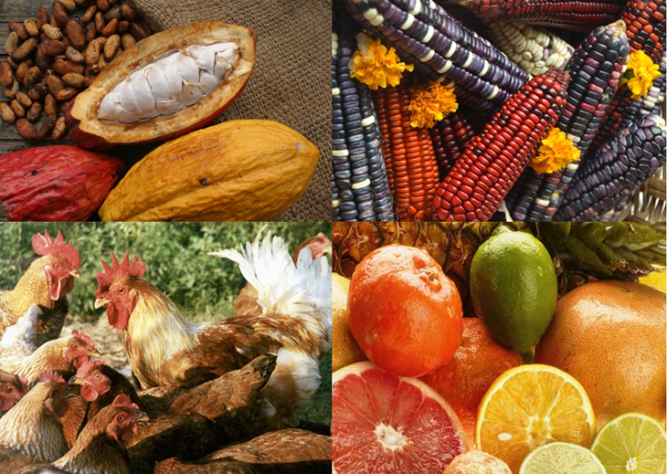 Mérida mostrará los cambios alimenticios tras el Descubrimiento de