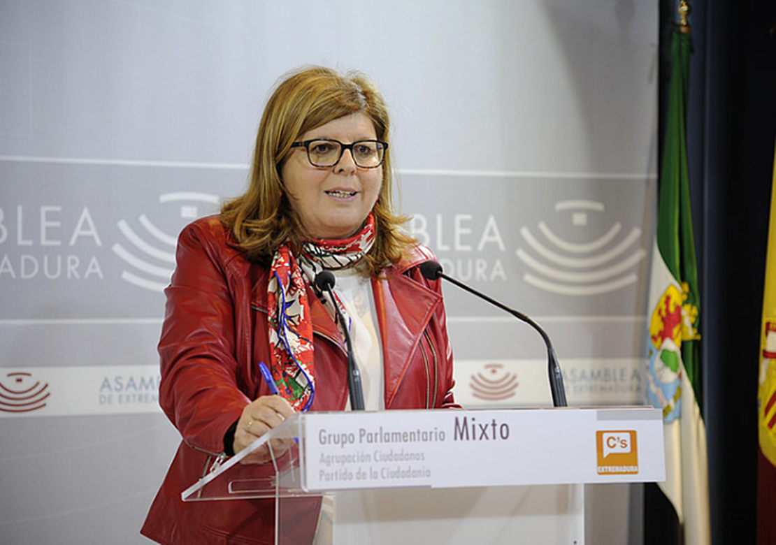 C’s pide a la Junta un plan de Turismo accesible C’s pide a la Junta un plan de Turismo accesible