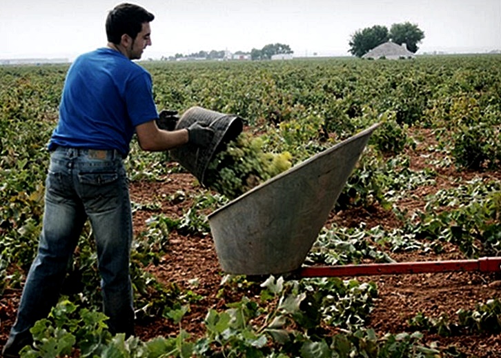 Publicadas las ayudas a la primera instalación de jóvenes agricultores Publicadas las ayudas a la primera instalación de jóvenes agricultores