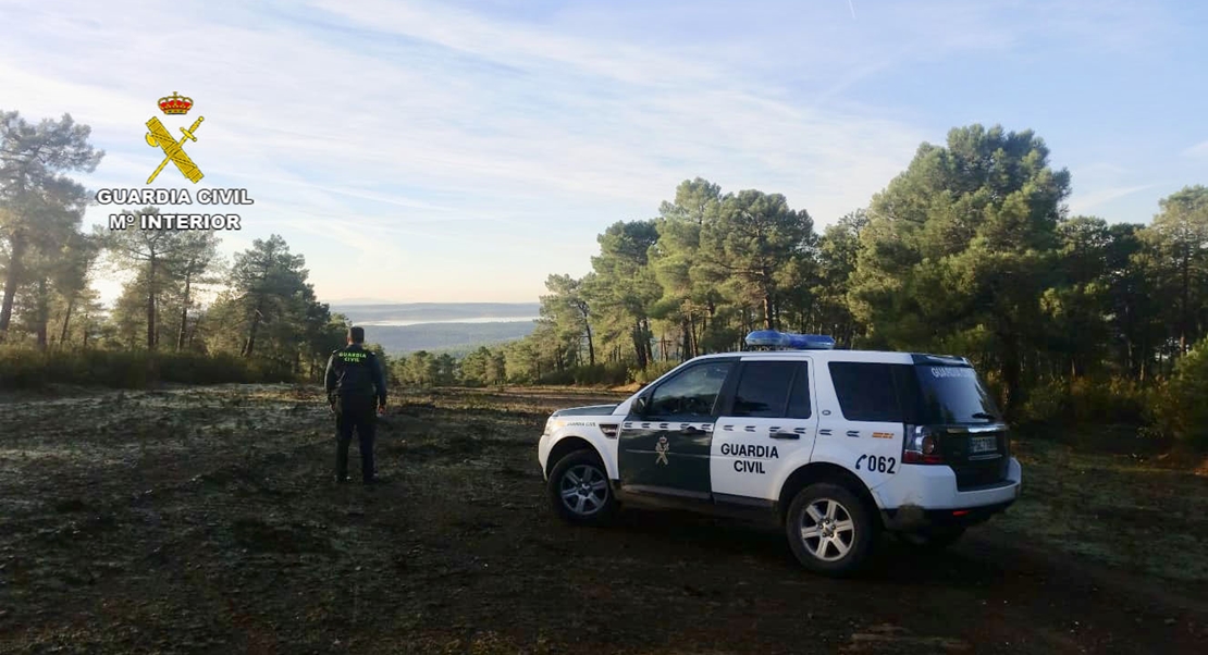 Desaparece su padre mientras recogían setas en el norte extremeño Desaparece su padre mientras recogían setas en el norte extremeño