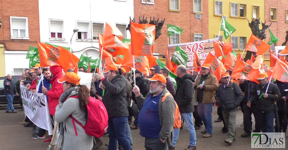 Los productores extremeños se congregan en Badajoz para exigir mejores condiciones Los productores extremeños se congregan en Badajoz para exigir mejores condiciones