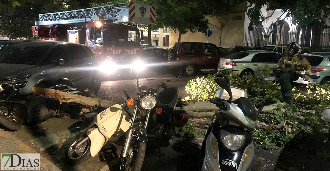 Las rachas de viento dejan múltiples desperfectos en Badajoz Las rachas de viento dejan múltiples desperfectos en Badajoz