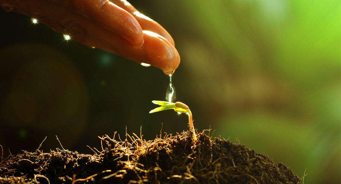 Comienza a promoverse la utilización del compost procedente de residuos como abono Comienza a promoverse la utilización del compost procedente de residuos como abono