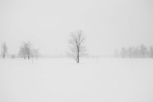¿Cómo será el invierno 2023-2024?