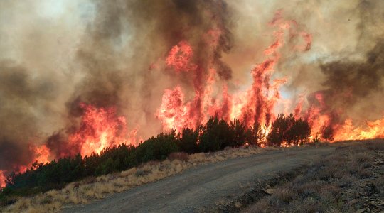 Declaran zona de actuación urgente los terrenos de la Sierra de Gata afectados por el fuego