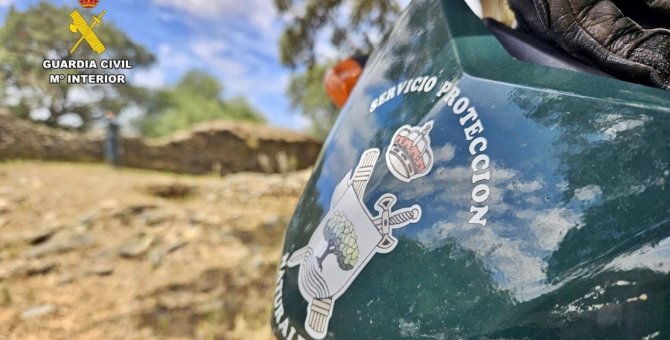 Varios investigados por un brote de triquinosis tras una matanza en Trujillo (CC)