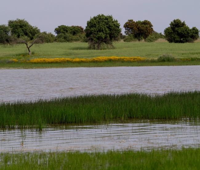 El Complejo Lagunar de La Albuera celebra el Día de los Humedales