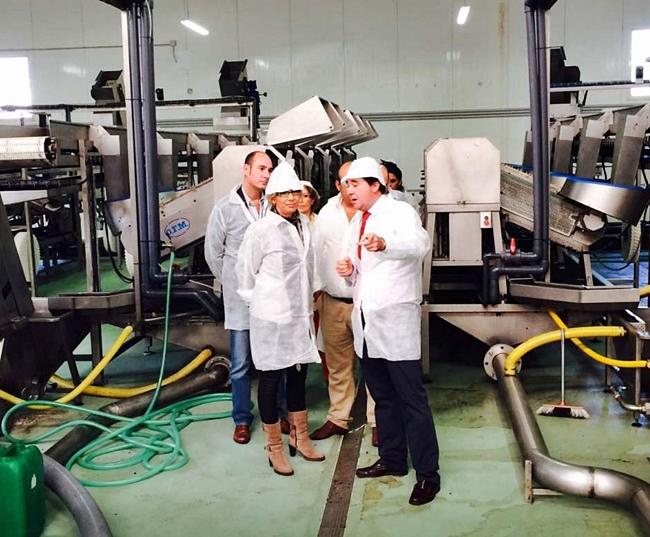 Talayuela será preferente a la hora de sumarse al Plan Agrotech