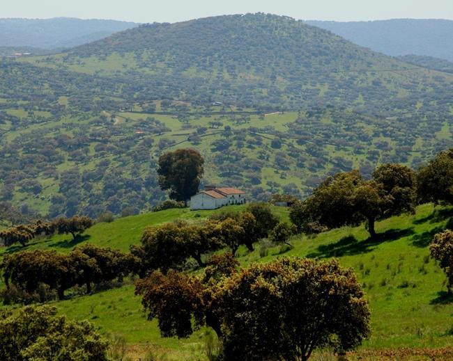 Extremadura alberga la tercera parte de dehesa de la superficie total ibérica