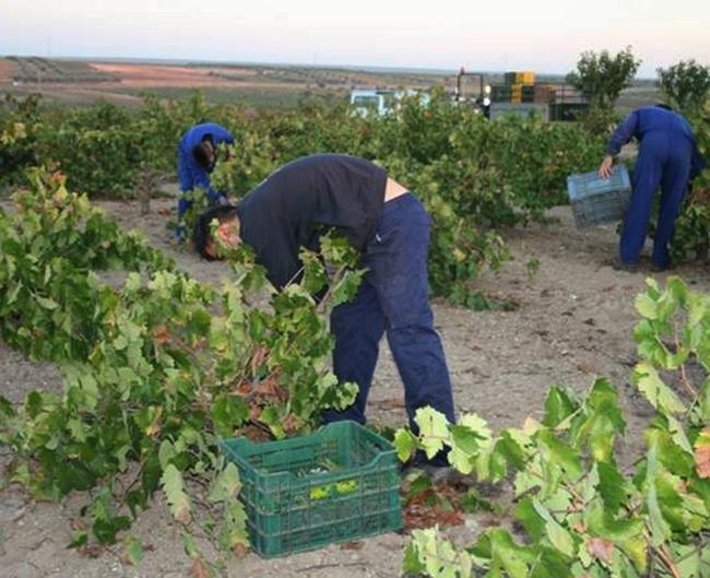 La región pide a España bajar de 35 a 20 las peonadas para el PER