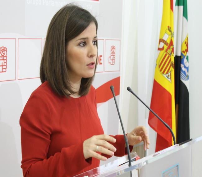 El PSOE rechaza la Ley de la Mujer Embarazada por "retrógrada"