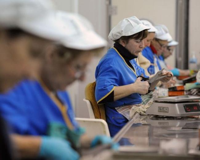 Gobex destaca los resultados obtenidos de sus políticas en pro del empleo femenino
