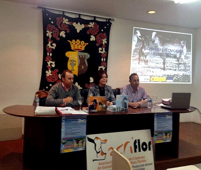 Zafra acoge unas jornadas sobre la raza caprina florida, la segunda en la región