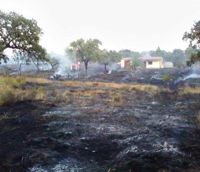 Gran incendio en la dehesa El Manantío, a las afueras de Badajoz