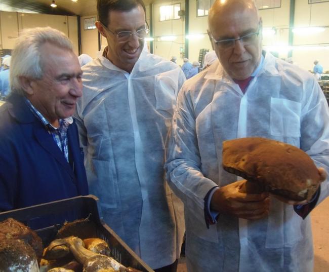 El consejero de Agricultura visita una fábrica de setas en Moraleja
