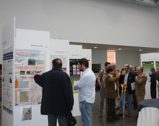 El Congreso Ibérico de la Dehesa en Badajoz defiende la pervivencia de este ecosistema