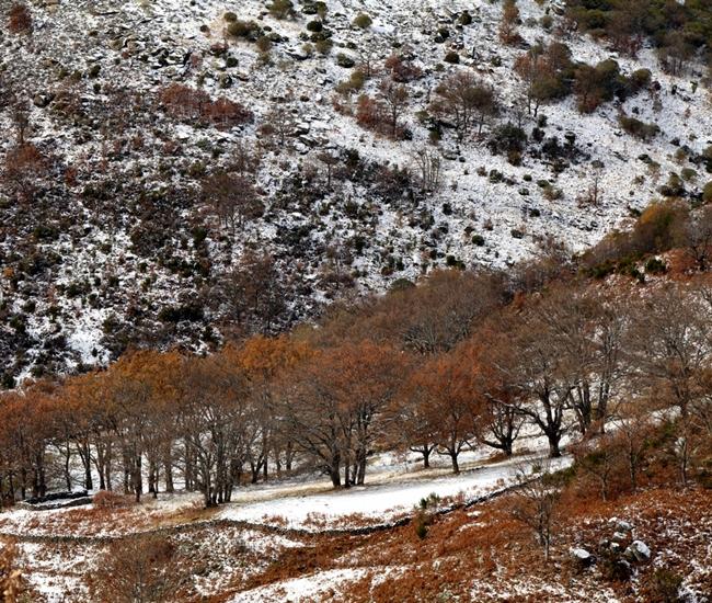 La nieve vuelve hoy a Extremadura