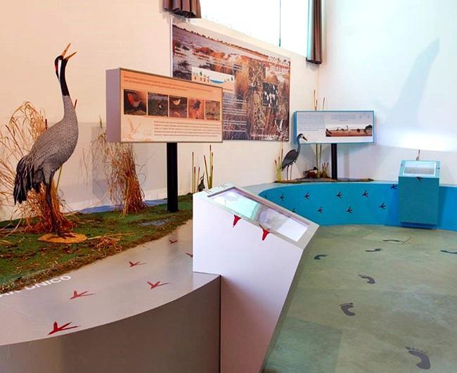 "Aves del Complejo Lagunar de La Albuera”, nueva Sensación en la Naturaleza