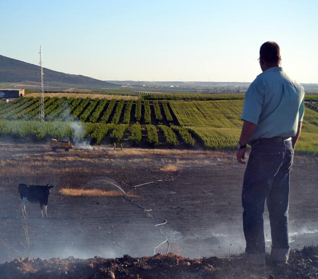 Un incendio afecta a una explotación ganadera de Calamonte