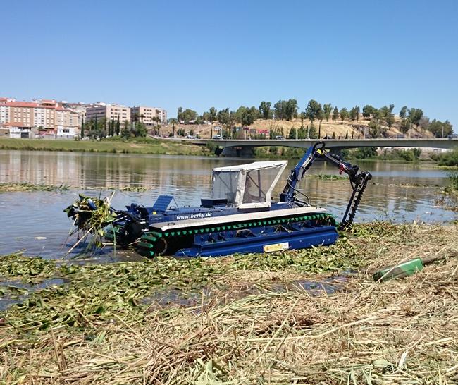 Retiran el camalote que mantiene invadido el río Guadiana en Badajoz