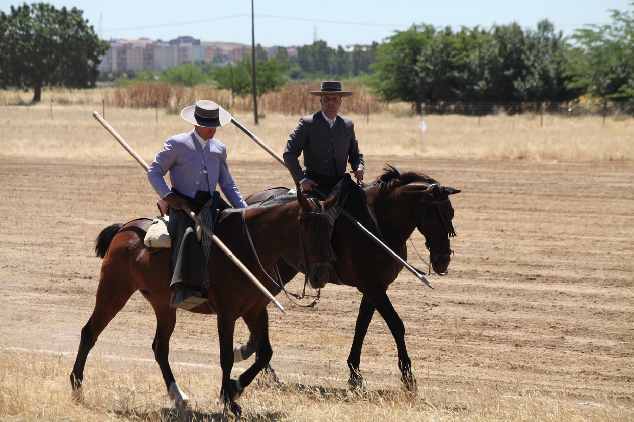 Concurso Nacional de Acoso y Derribo en Badajoz