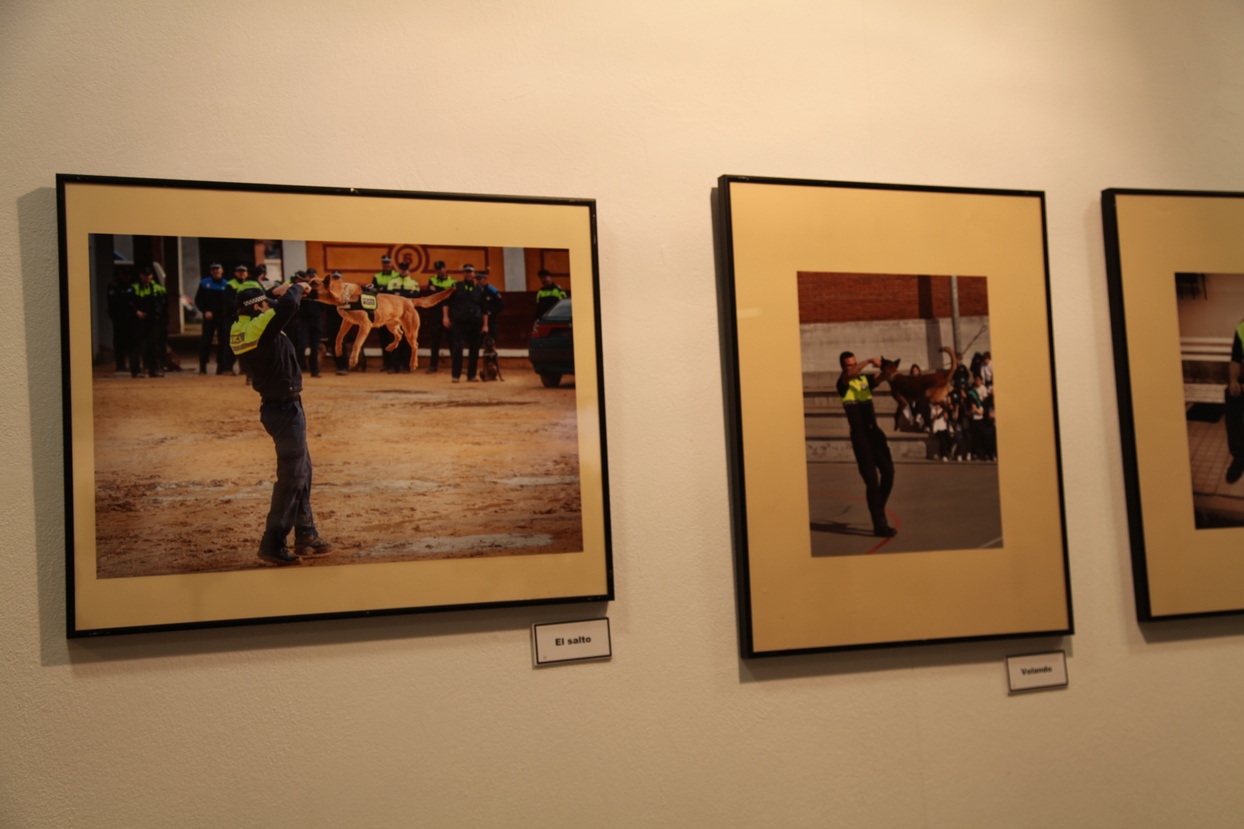 Las fotografías del concurso policial se exponen en el Luis de Morales de Badajoz