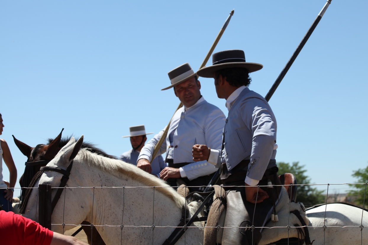 Concurso Nacional de Acoso y Derribo en Badajoz