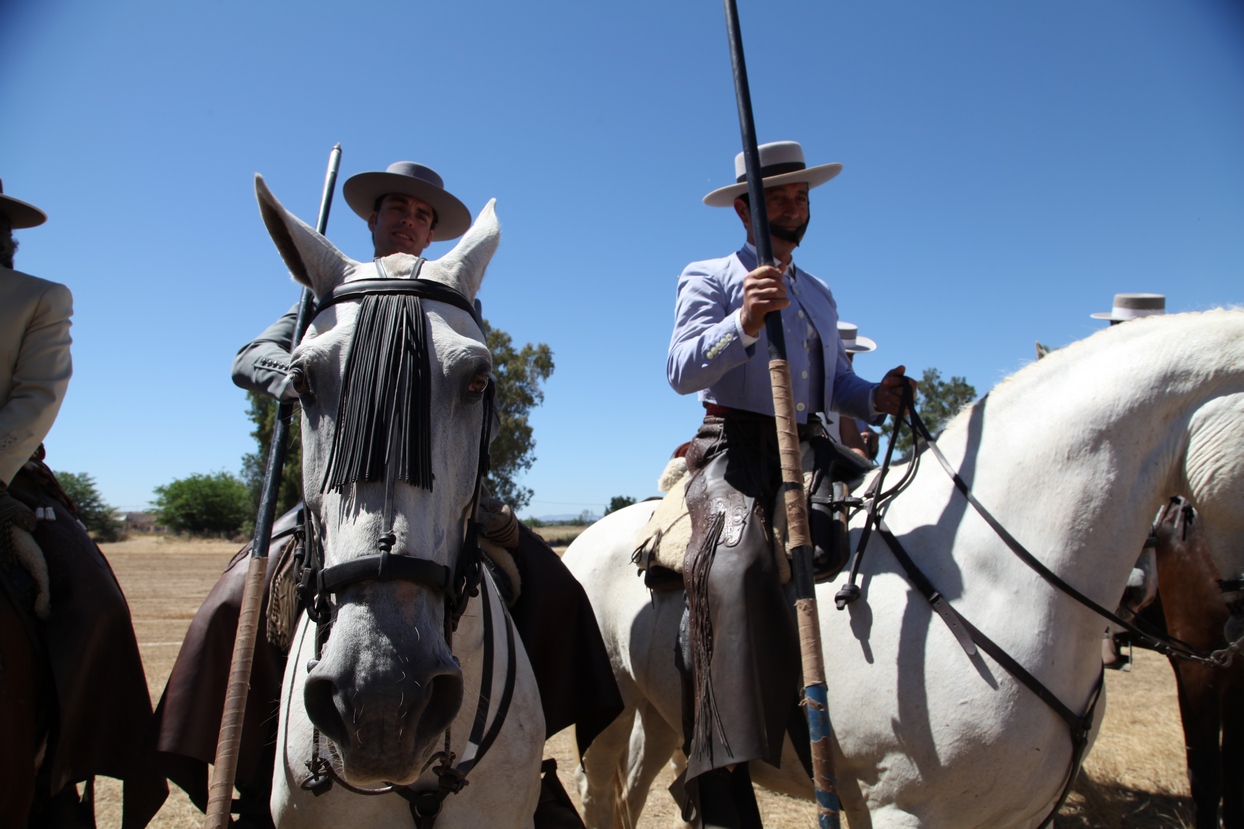 Concurso Nacional de Acoso y Derribo en Badajoz