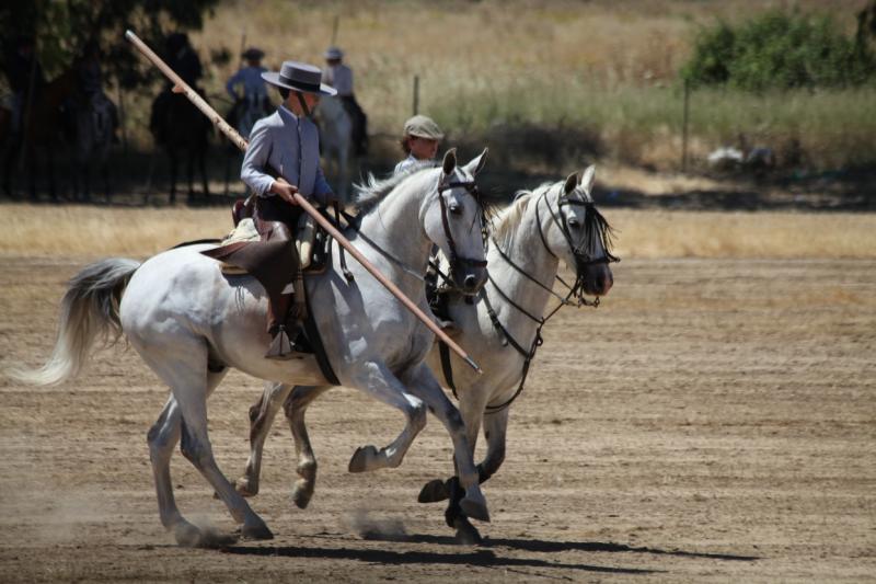 Concurso Nacional de Acoso y Derribo en Badajoz