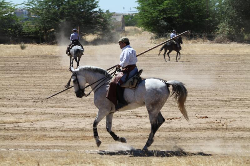 Concurso Nacional de Acoso y Derribo en Badajoz