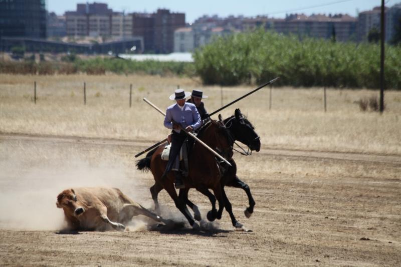 Concurso Nacional de Acoso y Derribo en Badajoz