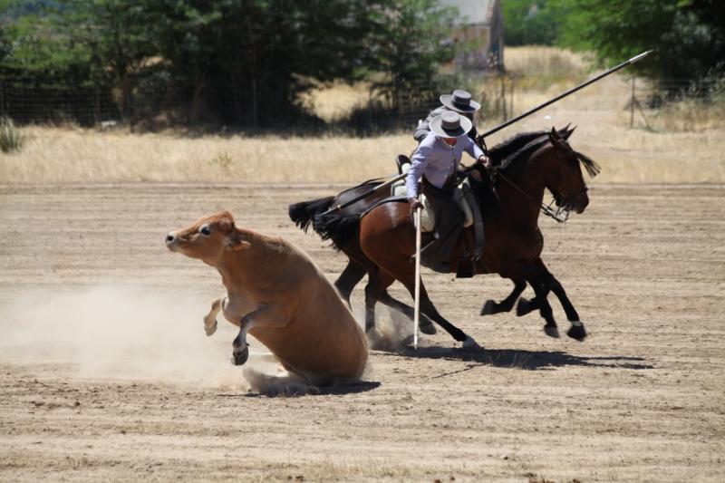 Concurso Nacional de Acoso y Derribo en Badajoz