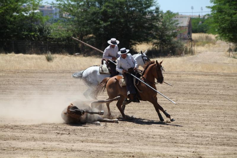 Concurso Nacional de Acoso y Derribo en Badajoz