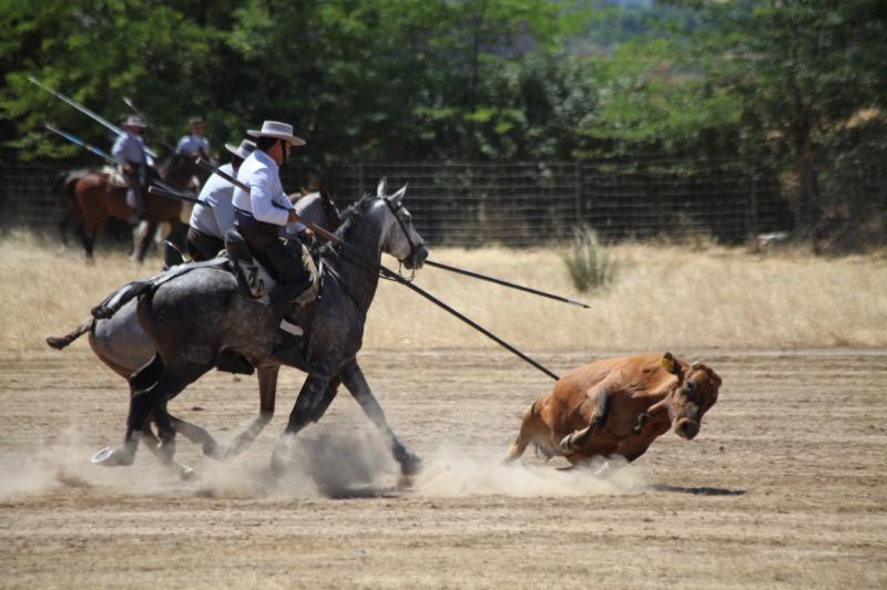 Concurso Nacional de Acoso y Derribo en Badajoz