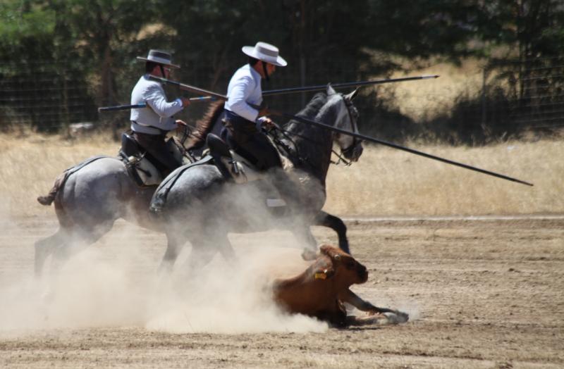 Concurso Nacional de Acoso y Derribo en Badajoz