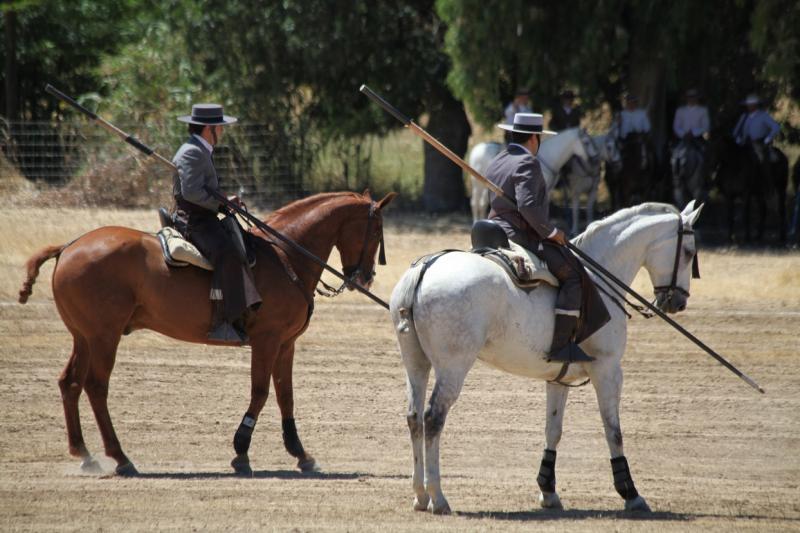 Concurso Nacional de Acoso y Derribo en Badajoz