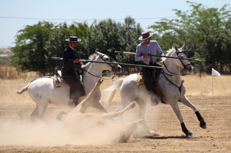 Concurso Nacional de Acoso y Derribo en Badajoz