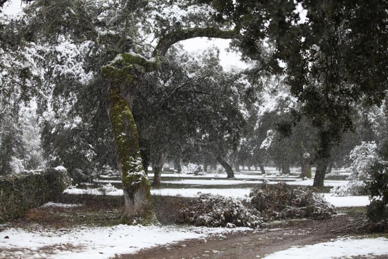 Imágenes de la nevada en la provincia de Badajoz