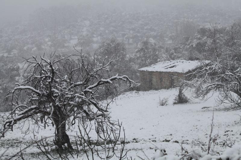 Imágenes de la nevada en la provincia de Badajoz