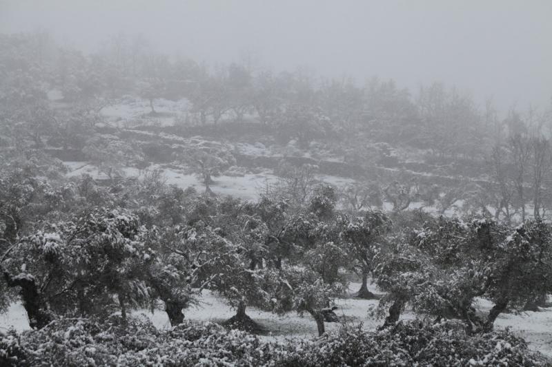 Imágenes de la nevada en la provincia de Badajoz