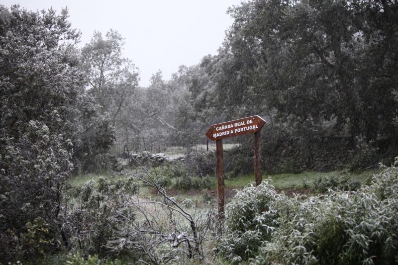 Imágenes de la nevada en la provincia de Badajoz