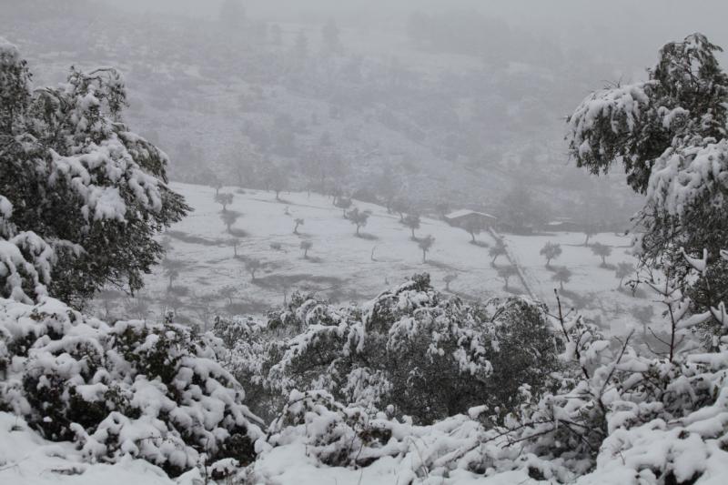 Imágenes de la nevada en la provincia de Badajoz