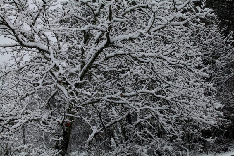 Imágenes de la nevada en la provincia de Badajoz