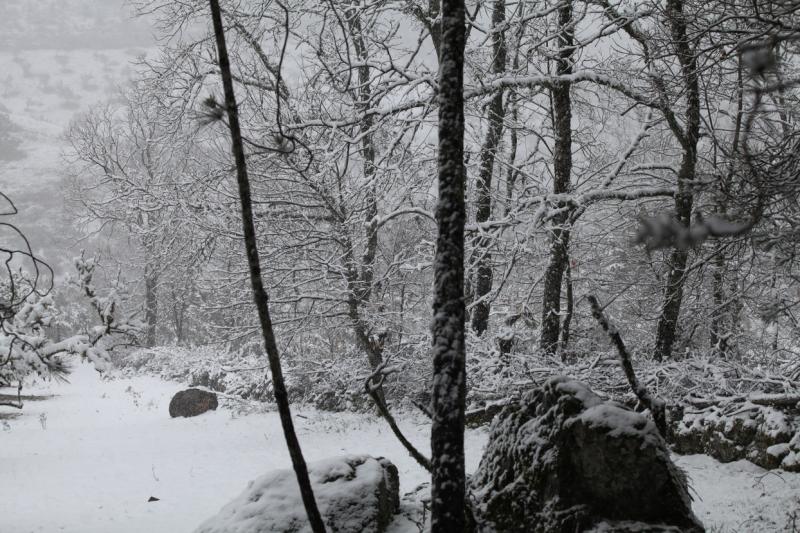 Imágenes de la nevada en la provincia de Badajoz