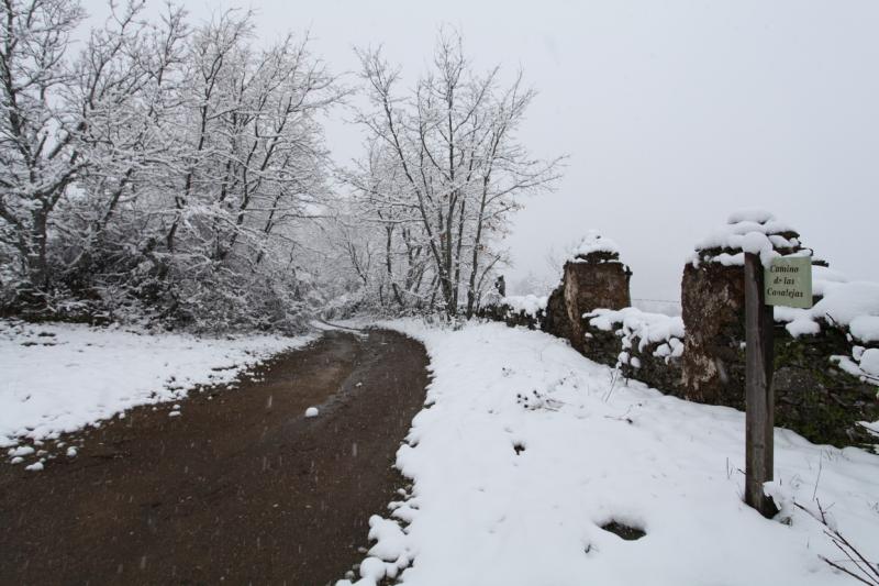 Imágenes de la nevada en la provincia de Badajoz