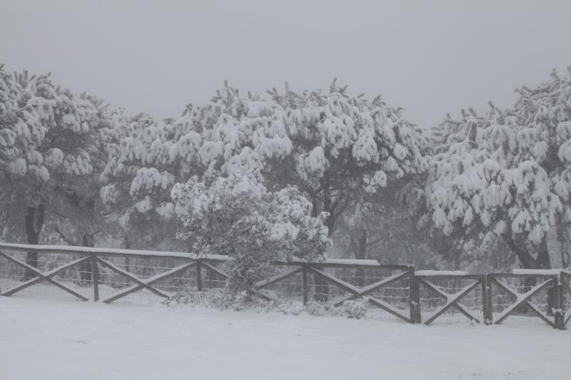 Imágenes de la nevada en la provincia de Badajoz