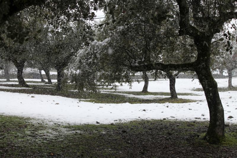 Imágenes de la nevada en la provincia de Badajoz