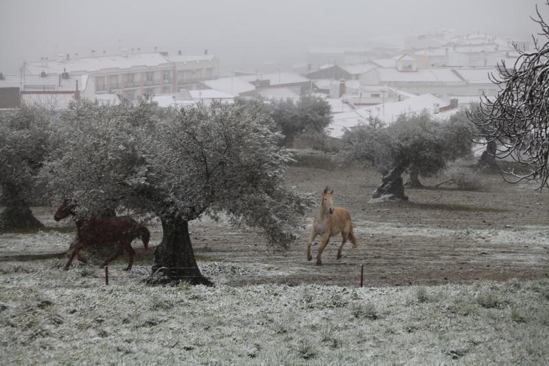 Imágenes de la nevada en la provincia de Badajoz