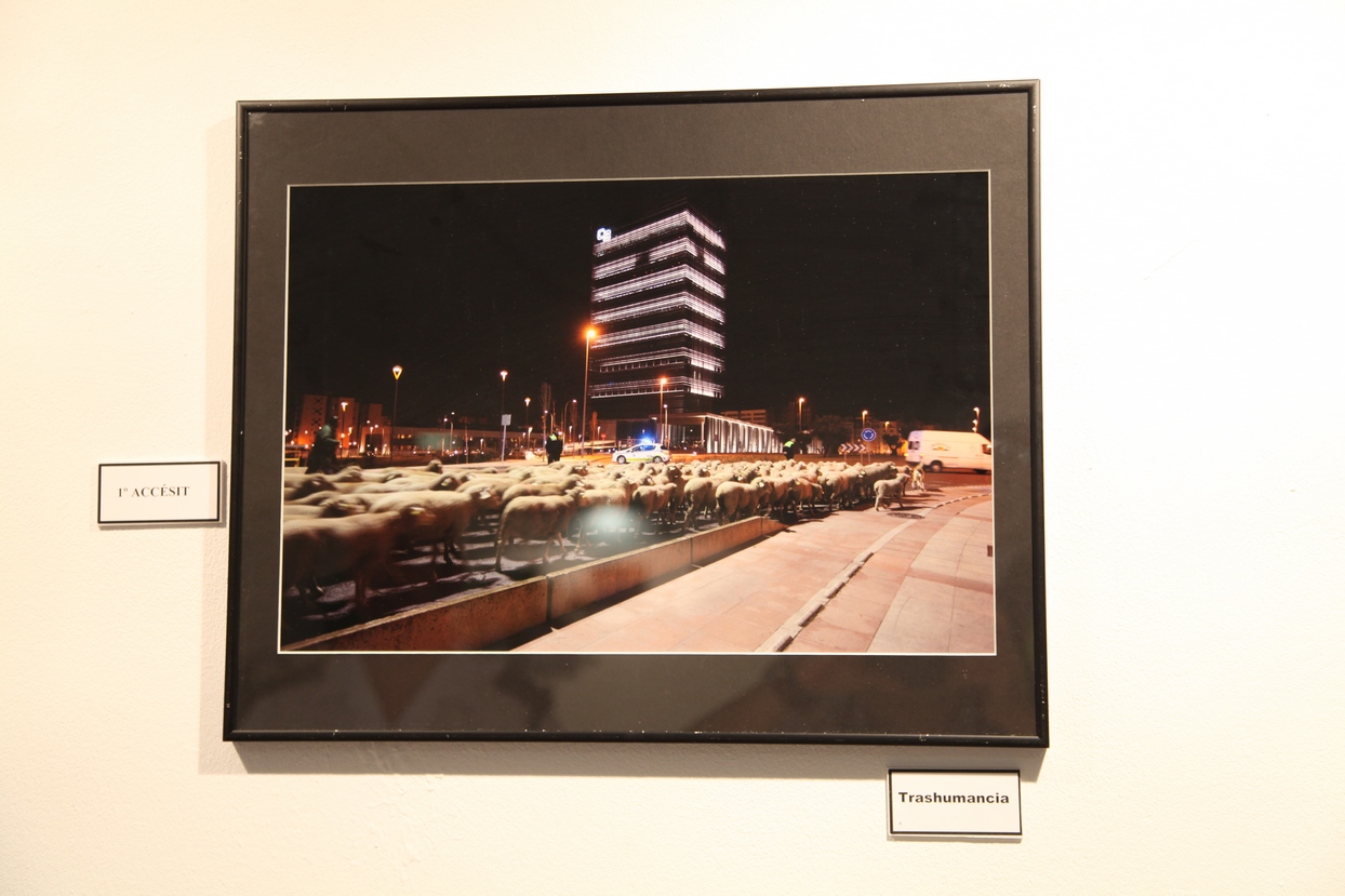 Las fotografías del concurso policial se exponen en el Luis de Morales de Badajoz