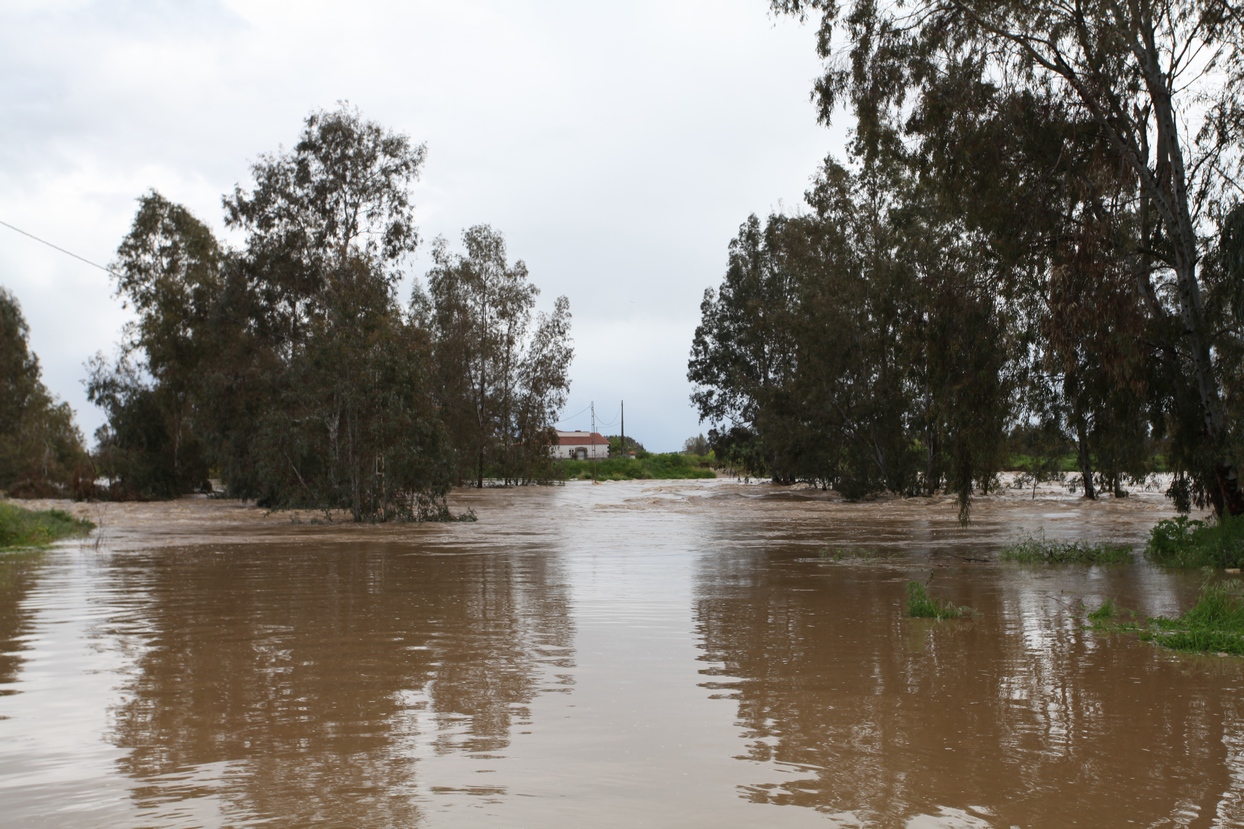 Punta de la crecida del río Guadiana a su paso por Badajoz y Caya